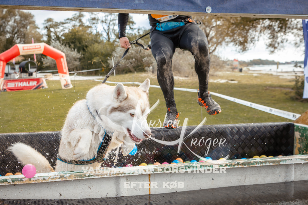 1356_ZZ92883-2 | kk-dogfotos