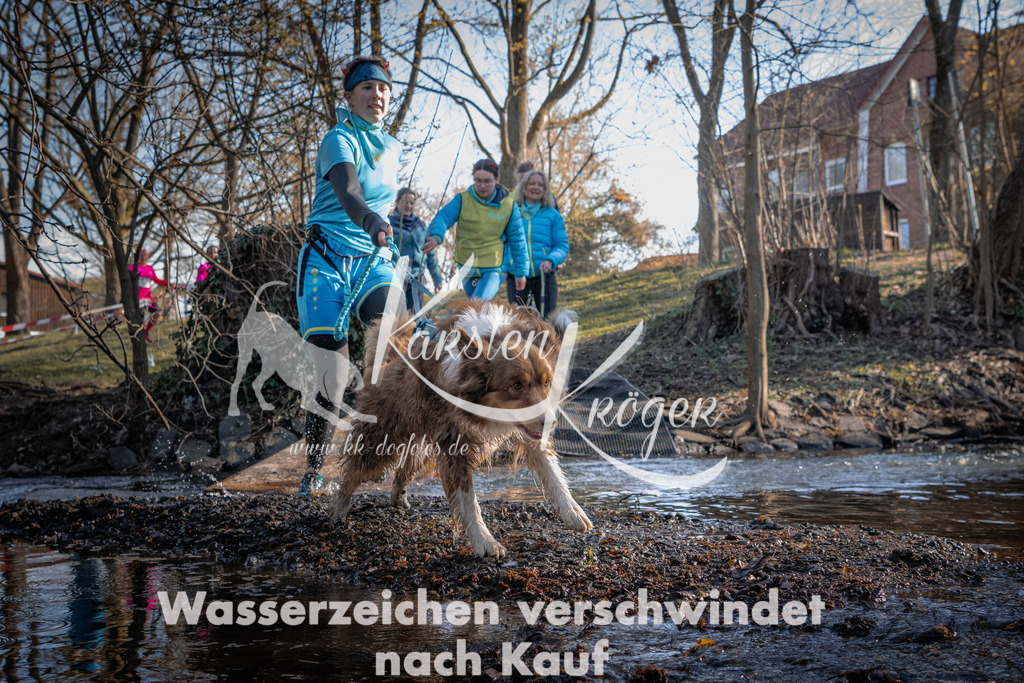 0828_ZZ91158 | kk-dogfotos