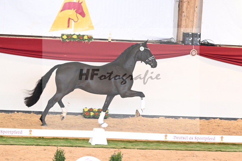 Kat.-Nr. 66 v. Taurus_Beckmann_2240874 | hf-fotografie - Realisiert mit Pictrs.com