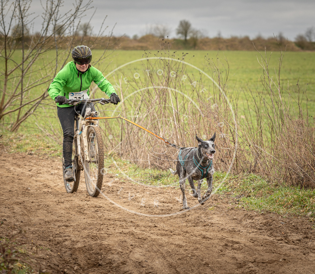 DV3A0829 | Hundefotografie, Tierfotograf, Pfotenfotografie, Fotoshooting Hund, Hunde Portrait, Hundesport, Hundeportraits, Heideshooting, Hunde, Sportfotograf, Hundefotograf, Turnierhundsport, THS,  - Realisiert mit Pictrs.com