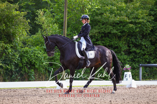 DKP41734 | Deine Turnierfotos vom Reitturnier online kaufen: Dressur, Springen & Siegerehrung. Professionelle Pferdefotografie aus dem Rheinland – als Download & Print.Alternative: Turnierfotograf für den Pferdesport: Finde deine Fotos von Dressur- und Springturnier