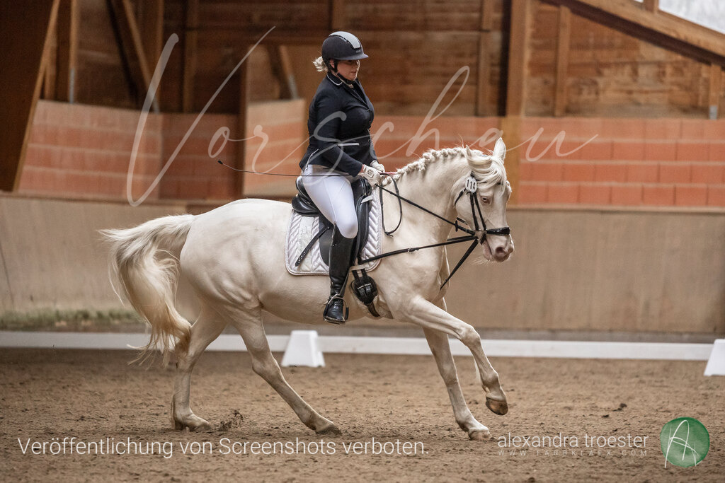 260328_Barop_07_124 | farbklaex.com