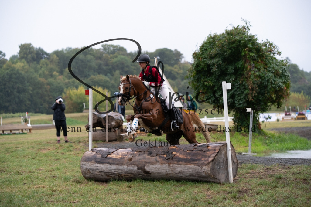 A7V09981 | Pferdefotograf