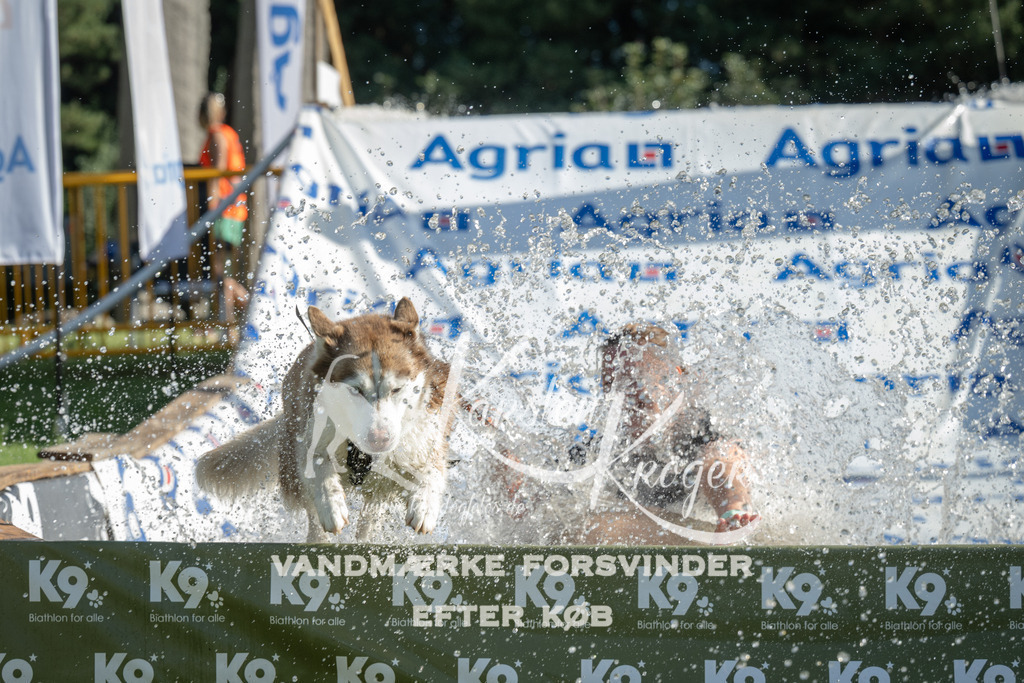 0958_ZZ97513 | kk-dogfotos