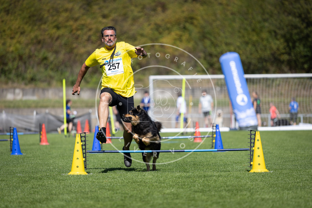 Pfotenfotografie_DV3A6390 | Hundefotografie, Tierfotograf, Pfotenfotografie, Fotoshooting Hund, Hunde Portrait, Hundesport, Hundeportraits, Heideshooting, Hunde, Sportfotograf, Hundefotograf, Turnierhundsport, THS,  - Realisiert mit Pictrs.com