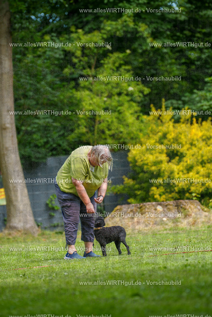 @allesWIRTHgut_Tierfotografie - www.allesWIRTHgut.de - 125251-7R509549 | Professionelle Tierfotografie in Mönchengladbach von Daniel Wirth (allesWIRTHgut). Liebevolle & natürliche Bilder von Hunden & Katzen für unvergessliche Erinnerungen.