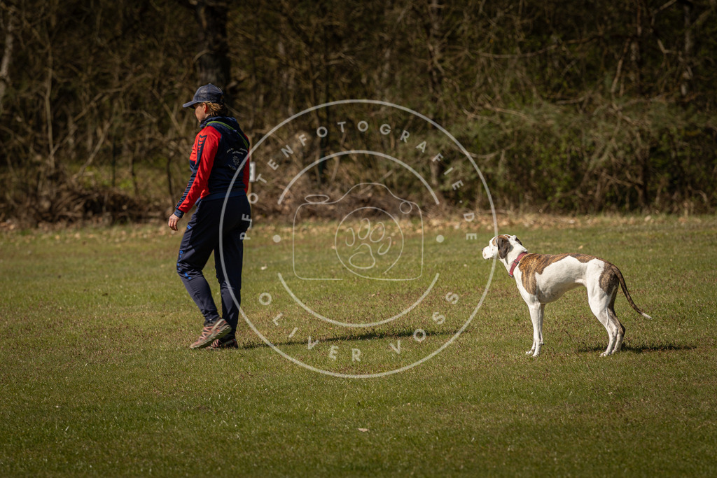 Pfotenfotografie_DV3A0753 | Hundefotografie, Tierfotograf, Pfotenfotografie, Fotoshooting Hund, Hunde Portrait, Hundesport, Hundeportraits, Heideshooting, Hunde, Sportfotograf, Hundefotograf, Turnierhundsport, THS,  - Realisiert mit Pictrs.com