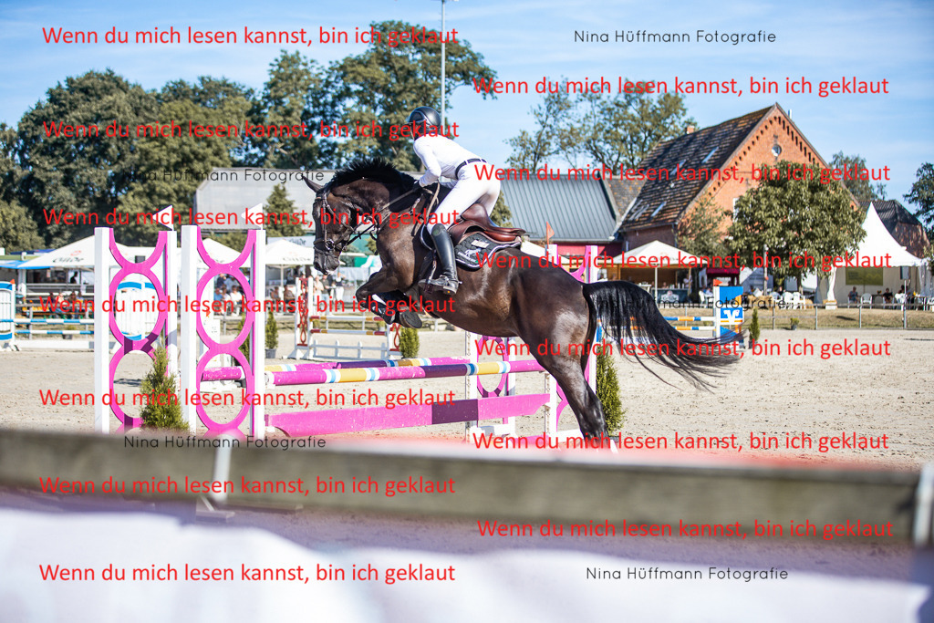 BK1A7376 | Turnierbilder Turnierfotos Nina Hüffmann Turnierfotografie Pferdefotografie Tierzeichnung Haustierzeichnung Pferdezeichnung Hundezeichnung Videograf  - Realisiert mit Pictrs.com