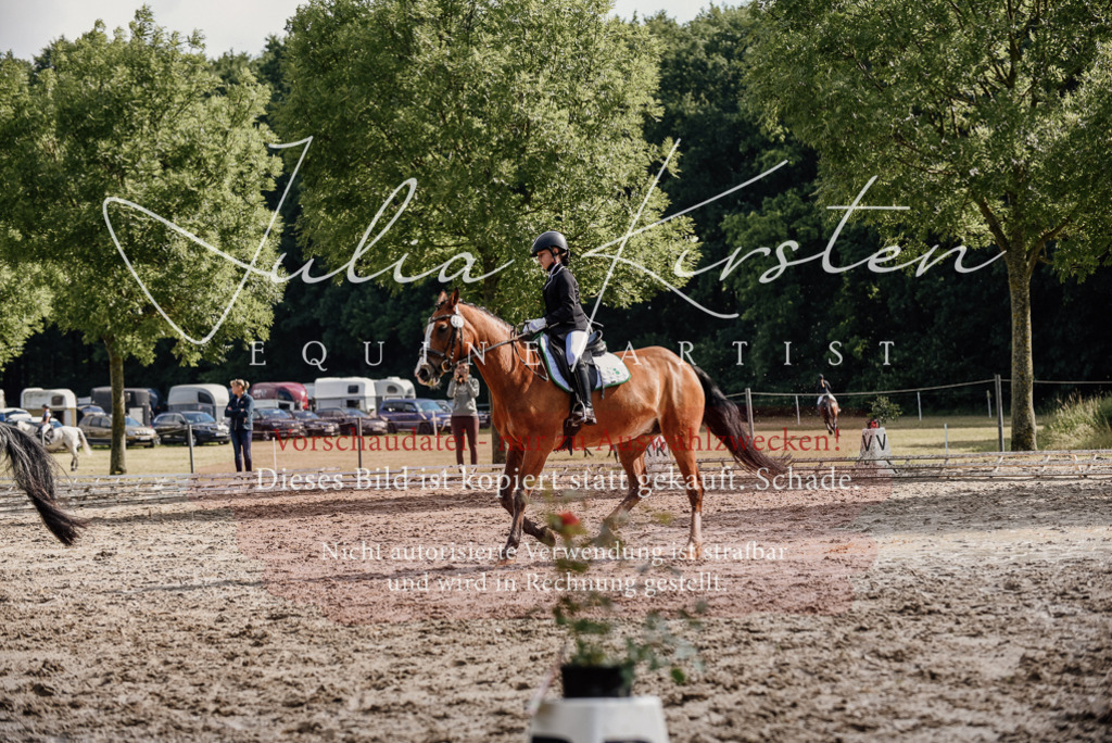 DSC_9166 | Pferde- und Turnierfotografie in Westsachsen. Pferdeportraits, Auftragszeichnungen und intuitive Kunst.