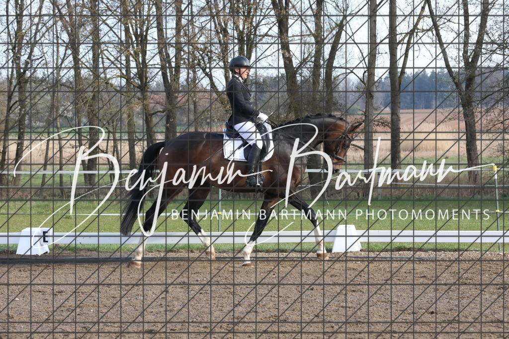 AZ2A6276 | Benjamin Bartmann Photomoments