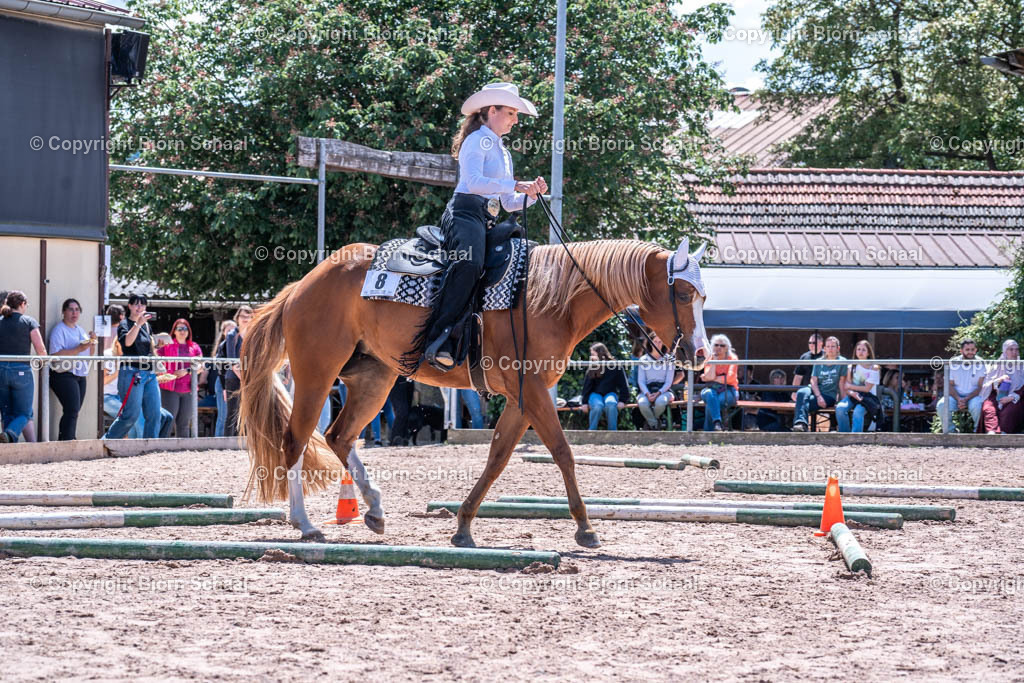 SBS00415 | BS-foto