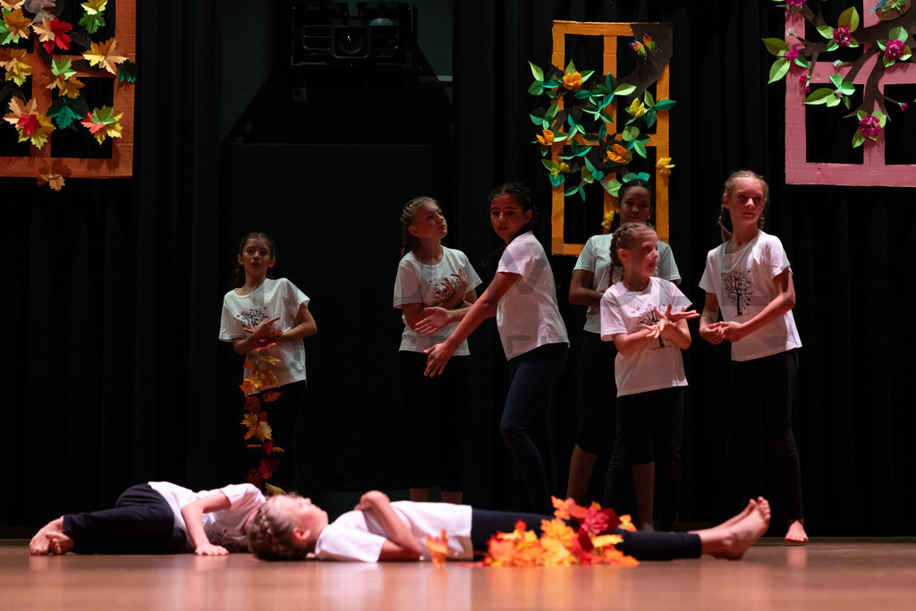 _DSC2000 | Tinu Müller Fotografie- Bildershop - Realisiert mit Pictrs.com