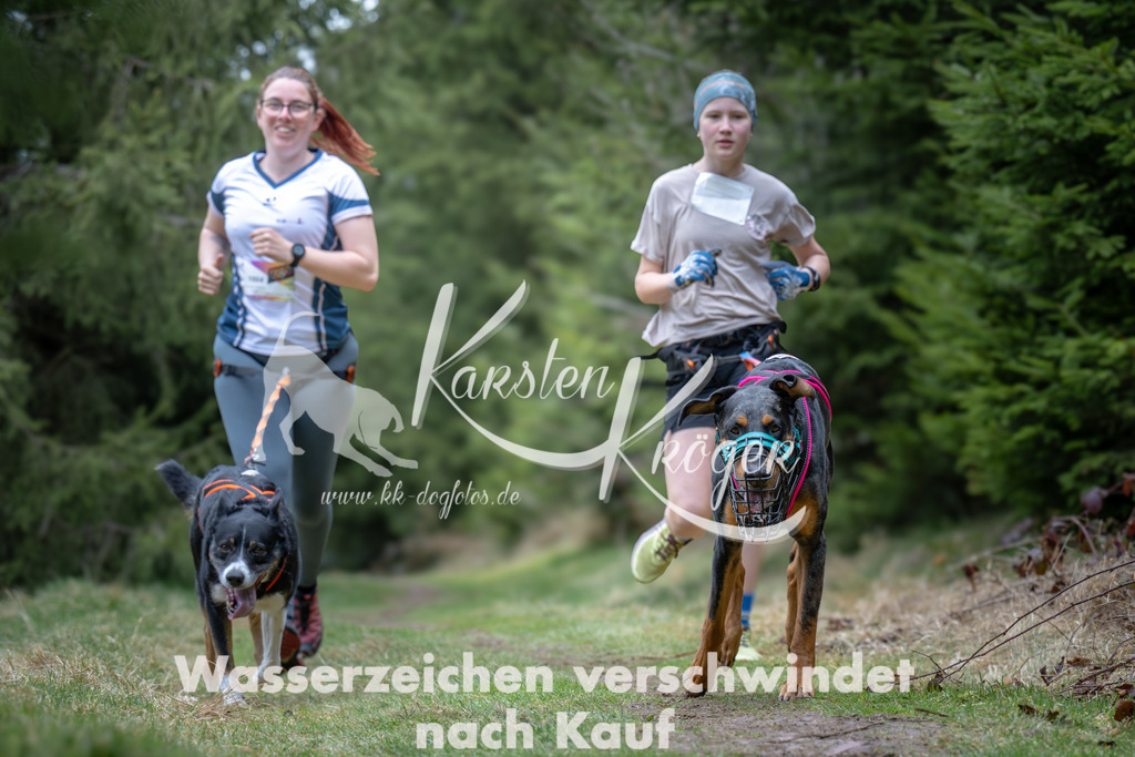 1304_ZZ93575 | kk-dogfotos