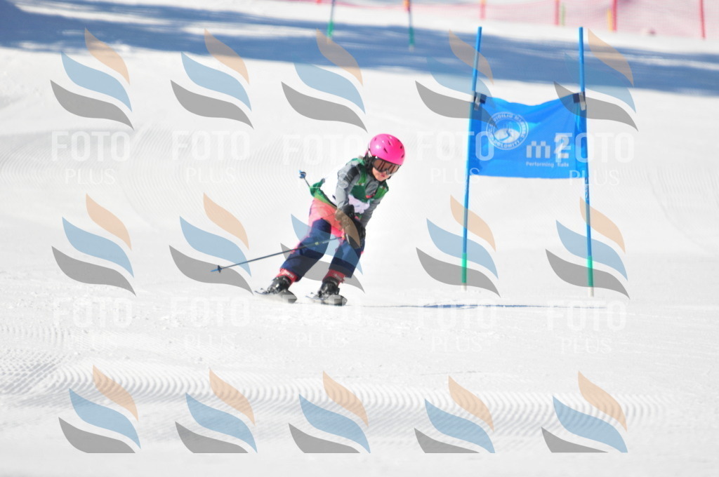 C2088 | holidayphoto