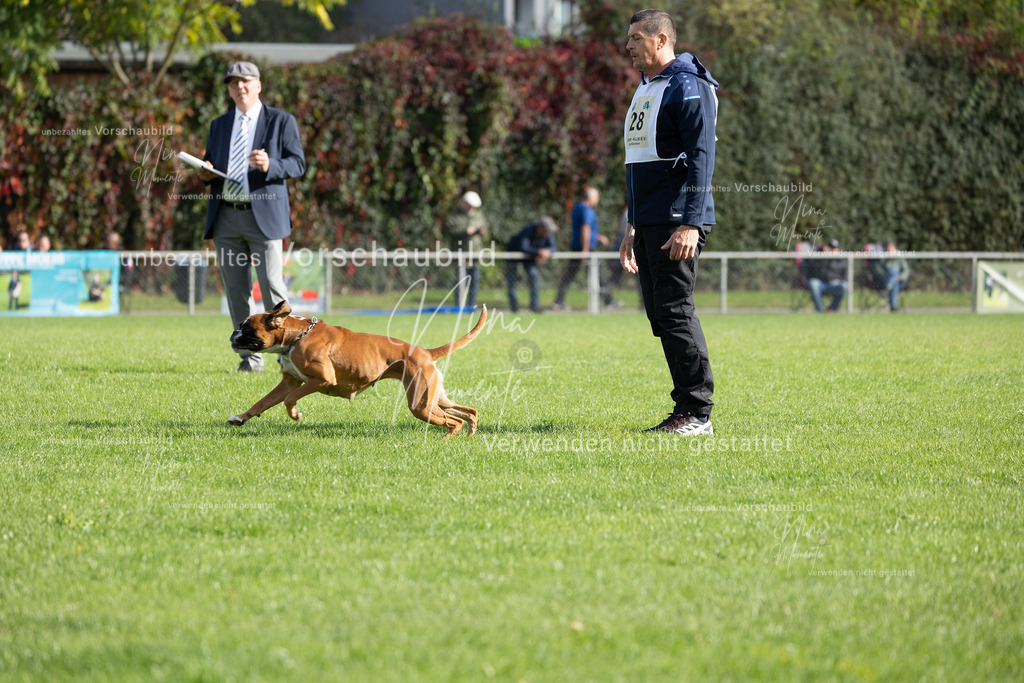 _16A5607 | Einzigartige Fotos von Hunden & Menschen –Actionfotos, Portraits, Vereinsaufnahmen & Paarshootings – authentisch, lebendig & mit Herz.