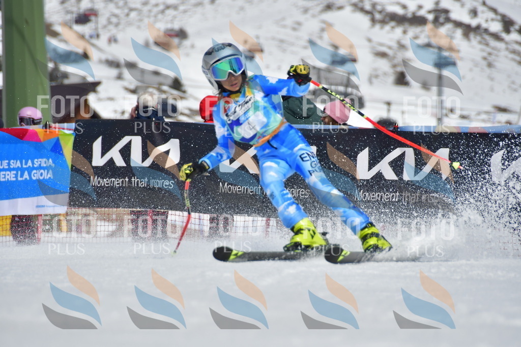 _DSC6718 | holidayphoto