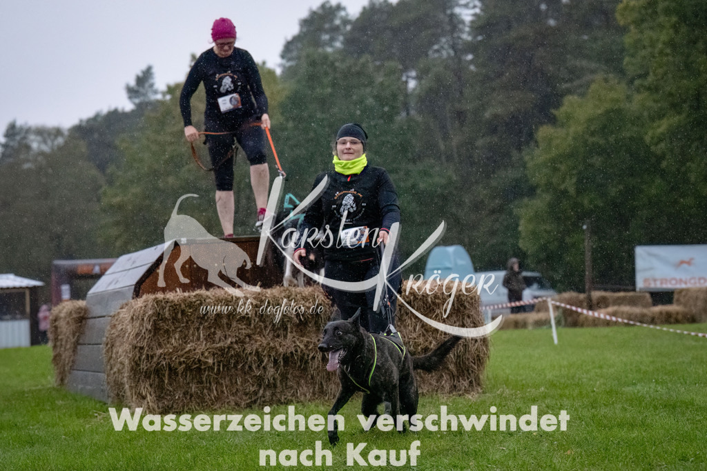 0829-_ZZ91442-Bearbeitet | kk-dogfotos