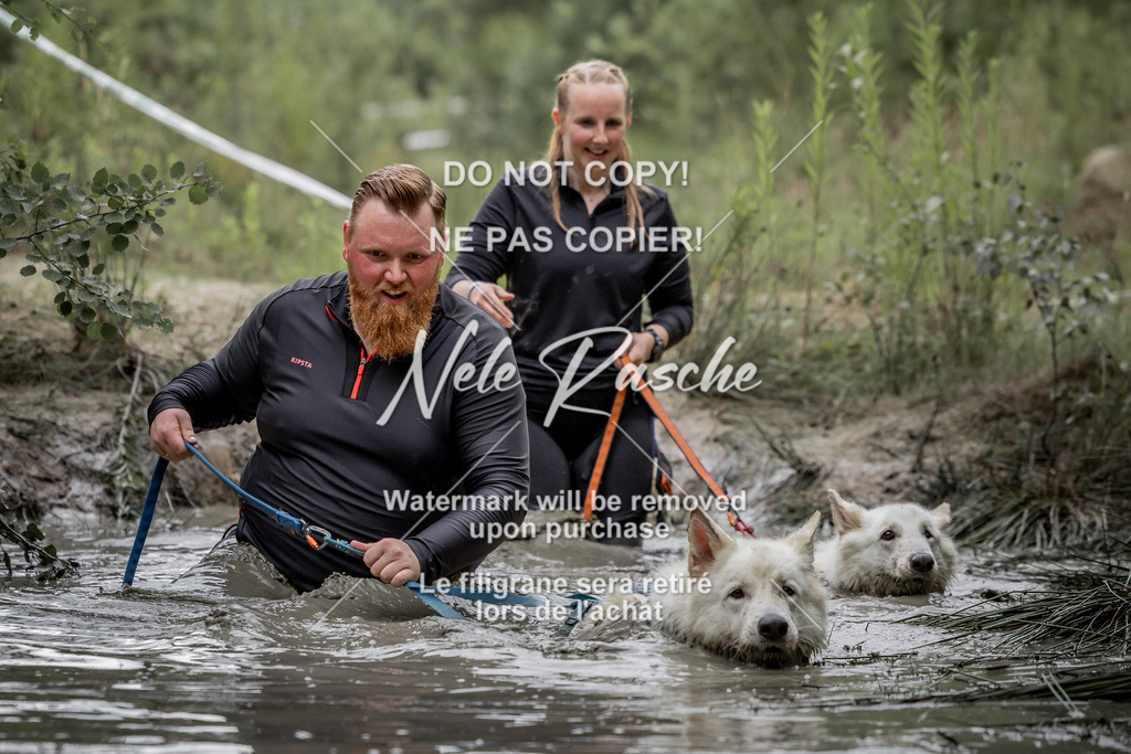 nelerasche_so0800-0930_446 | nelerasche