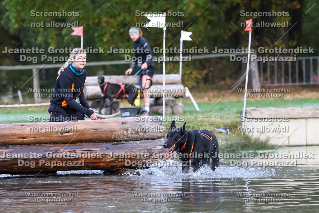 Dog Paparazzi - Strongdog 10-25-6269 | Dog Paparazzi Jeanette Grottendiek Fotografie & Videografie - Realisiert mit Pictrs.com