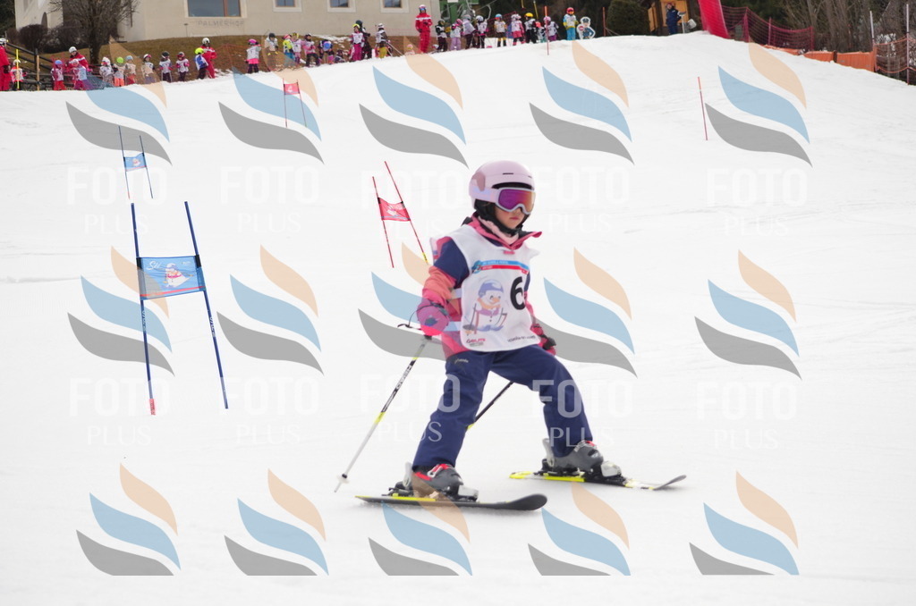 B9726 | holidayphoto