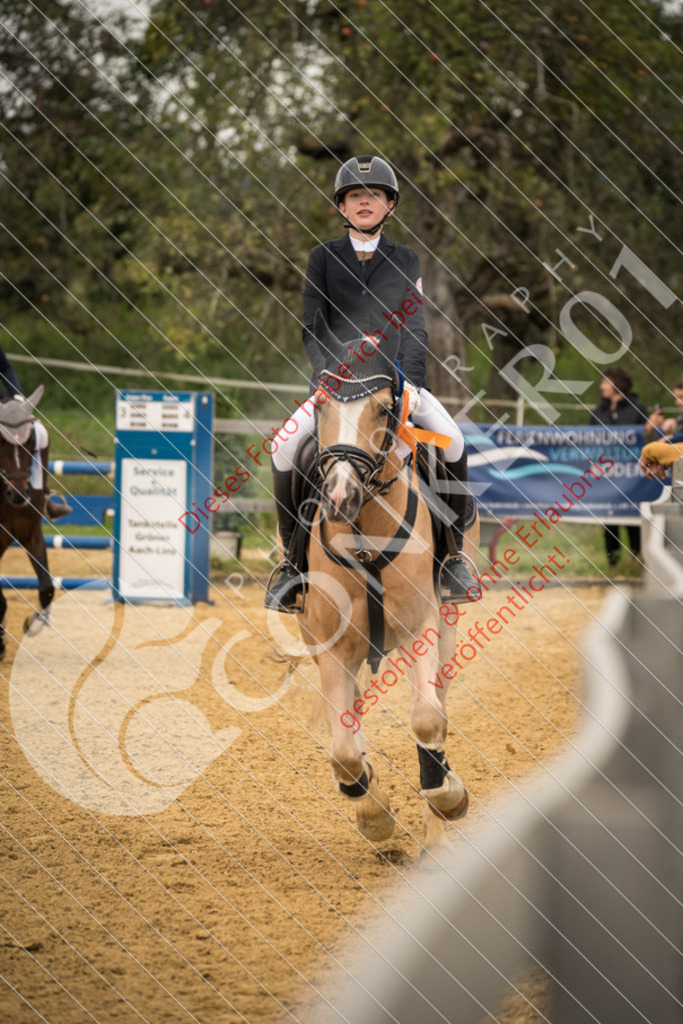 DSC_7571 | Sport-, Event- und Tierfotos in Profiqualität. Einfach auswählen, bestellen und herunterladen. Dein Moment – perfekt festgehalten.