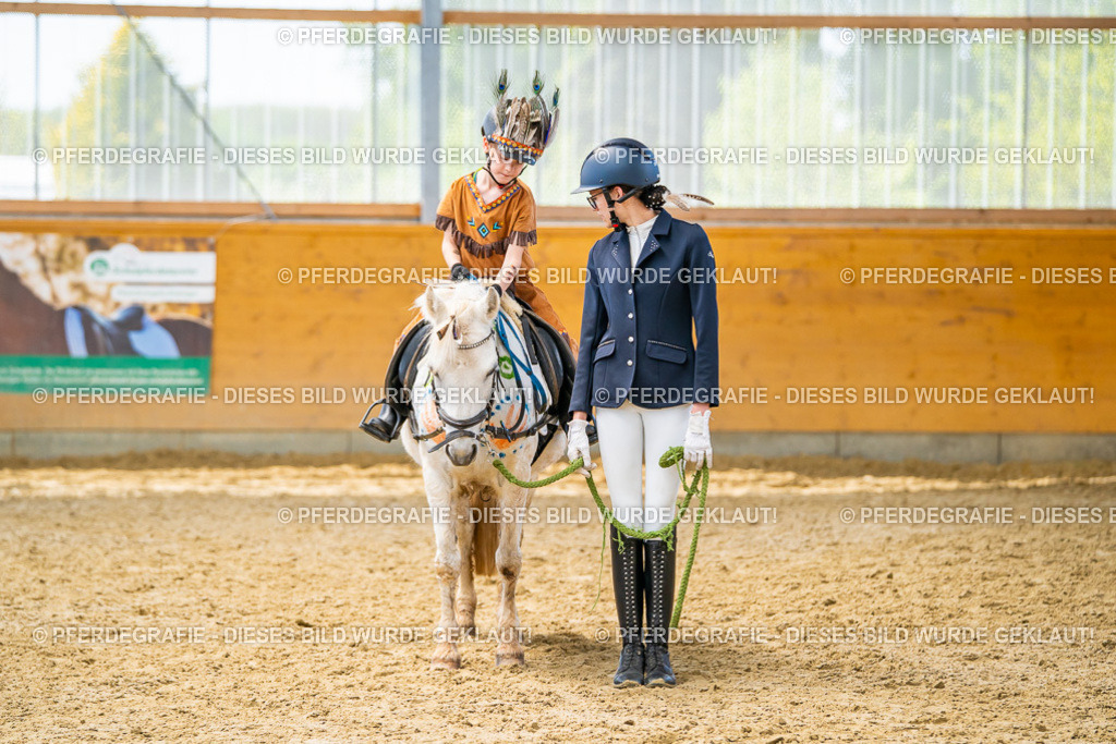 DSC00219 | Pferdegrafie