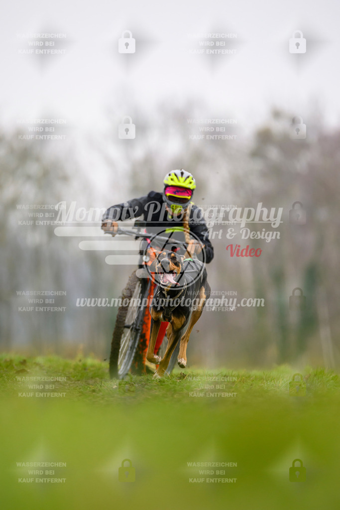 MompixPhotography_CDF2023_FFST_Di_DS1-1 | PayLife