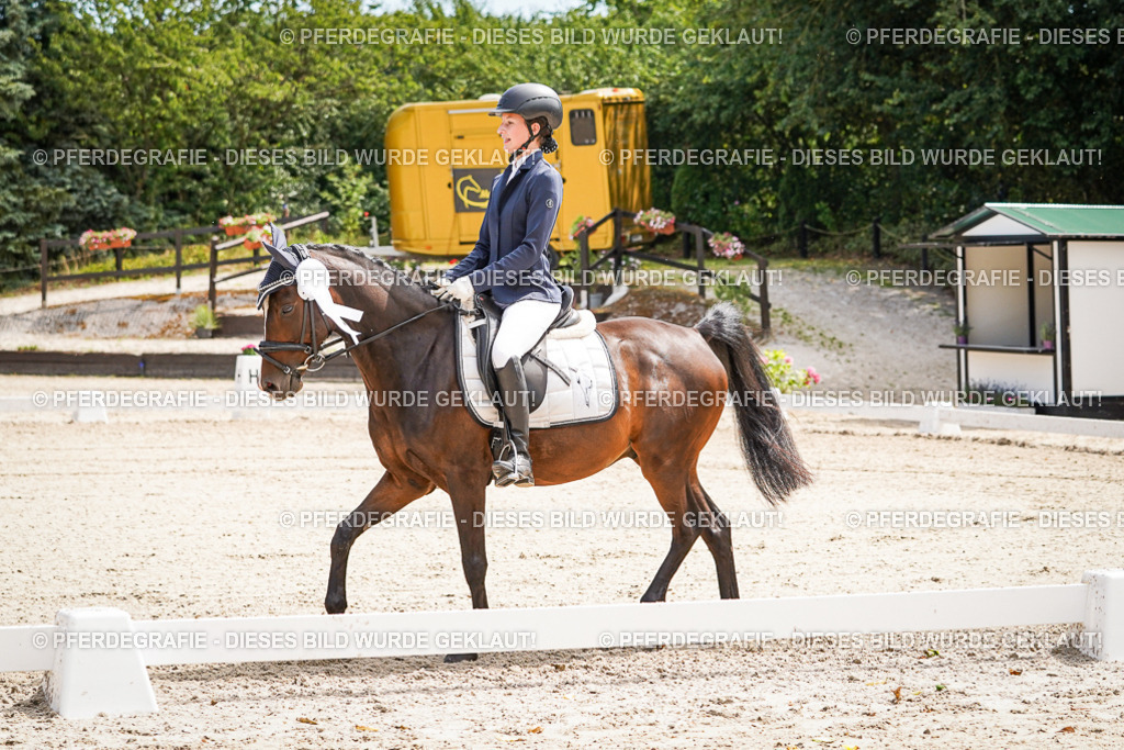 DSC02678 | Pferdegrafie