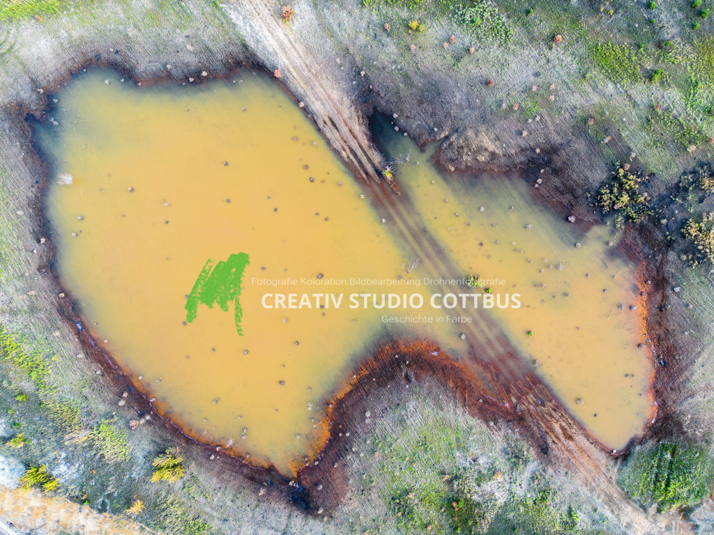 Cottbuser Ostsee | Nahaufnahme von einen kleinem Teilstück vom Cottbuser Ostsee - Realisiert mit Pictrs.com