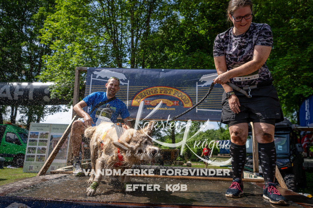 1145_ZZ94865 | kk-dogfotos