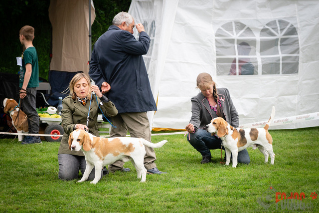 Clubsiegershow BCS  | Clubsiegershow BCS in Villmergen. 14.05.2023 Foto: Leo Wyden