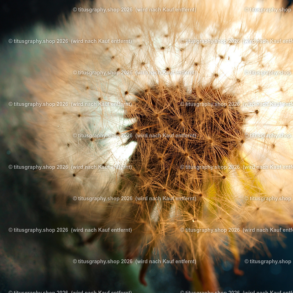 P5217005_edited | OLYMPUS DIGITAL CAMERA - Realisiert mit Pictrs.com