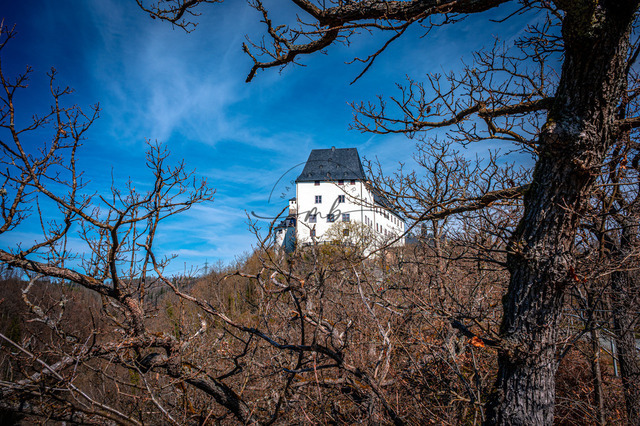 Schloss Burgk auf dem Berg | Schloss Burgk durch den Wald auf dem Berg fotografiert - Realisiert mit Pictrs.com