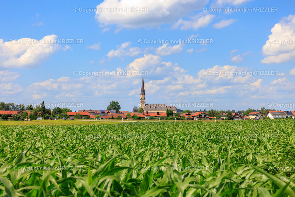 Palling | medienkrizzler - Realisiert mit Pictrs.com