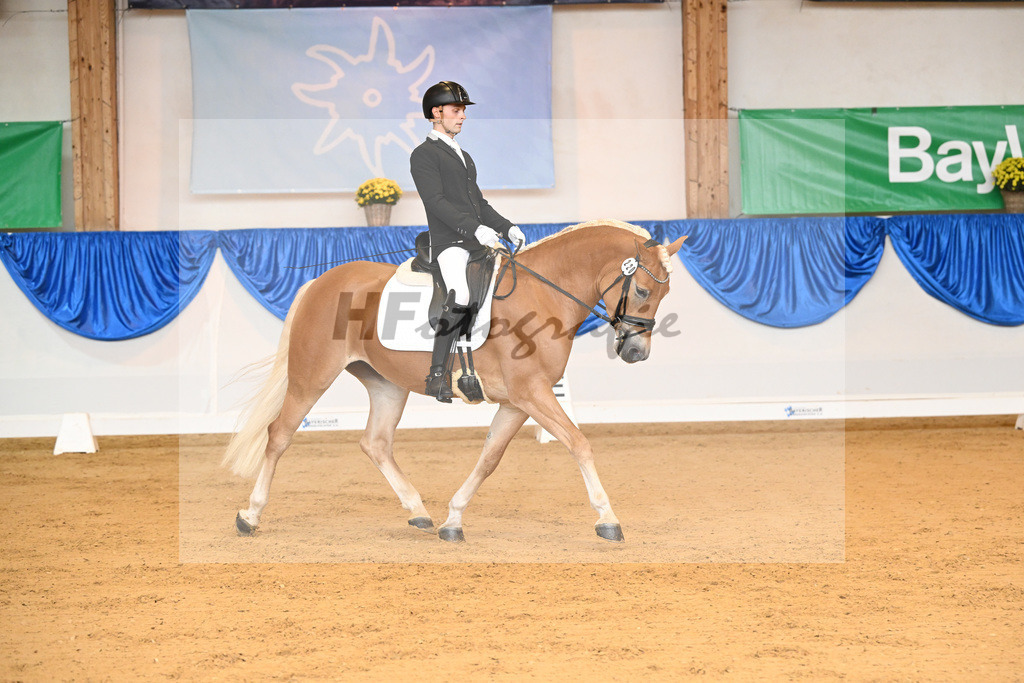 Kat-Nr. 220 Dynastie_Bleicher_54221710 | hf-fotografie - Realisiert mit Pictrs.com