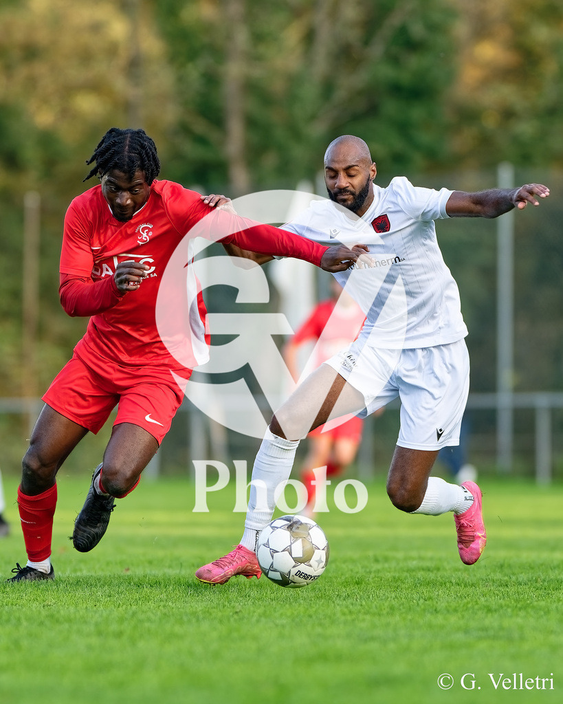 DZ8_9305 | Velletri Photo