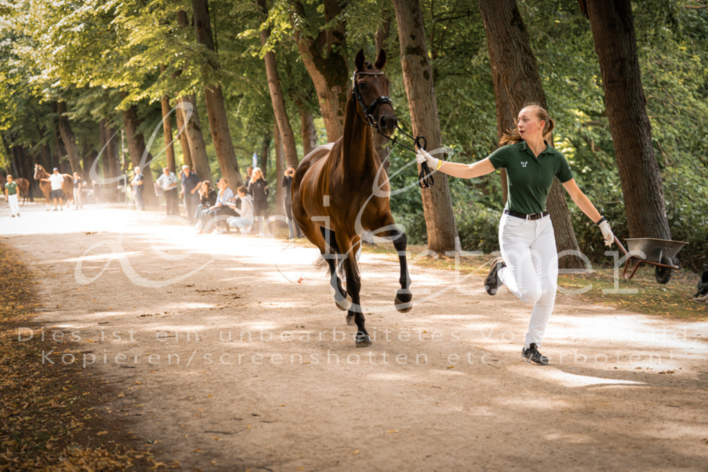 FrPfM00134 | Leoni Ertmer Photography - Realisiert mit Pictrs.com