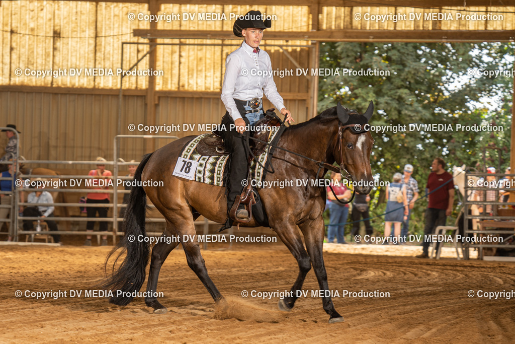 NID03243 | dv-media-shop - Realisiert mit Pictrs.com