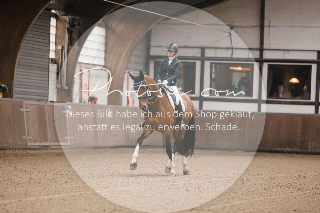 3I6A8051 | Stimmungsvolle Portraits und Reitsportfotografie im Ruhrgebiet und im Münsterland.

Pferdefotografie, Hundefotografie, Tierfotografie, Reportagen, Portraits von Tier und Mensch, Turnierfotografie in Bochum, Recklinghausen, Marl, Haltern am See, Dülmen.. - Realisiert mit Pictrs.com