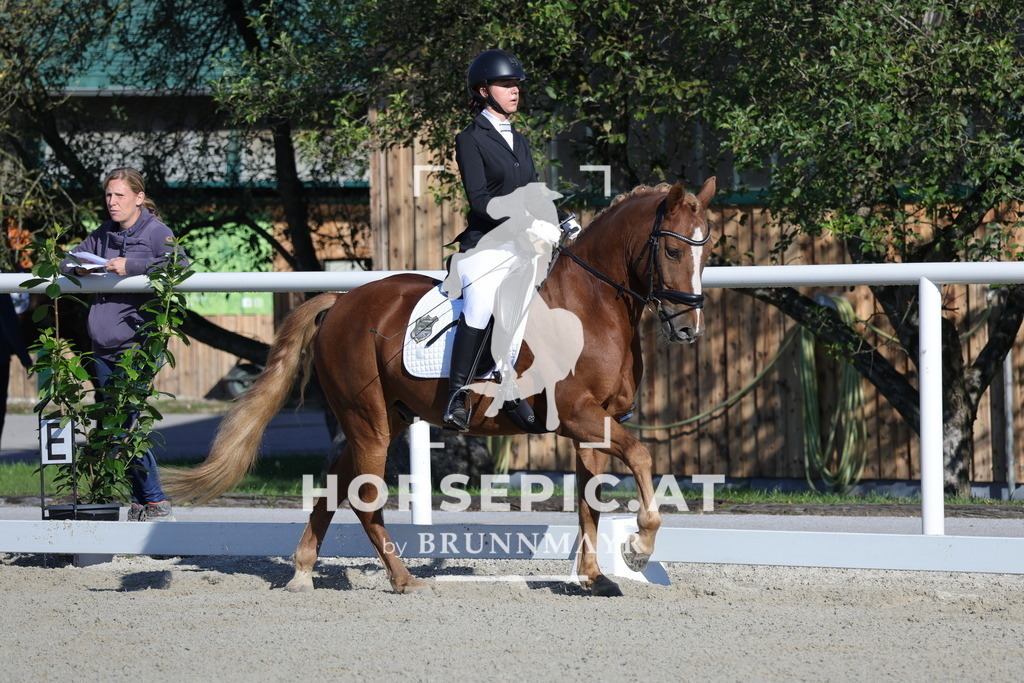 0P6A2645 | Willkommen bei Brunnmayr - Design & Fotografie – Ihrem Spezialisten für Reitturniere und Pferdeveranstaltungen in Oberösterreich, Salzburg und Bayern! Seit über 17 Jahren sind wir leidenschaftlich dabei.