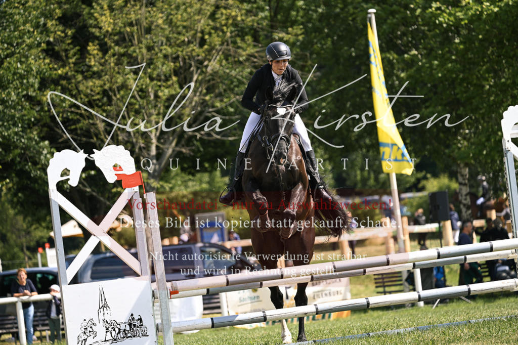 DSC_8949 | Pferde- und Turnierfotografie in Westsachsen. Pferdeportraits, Auftragszeichnungen und intuitive Kunst.