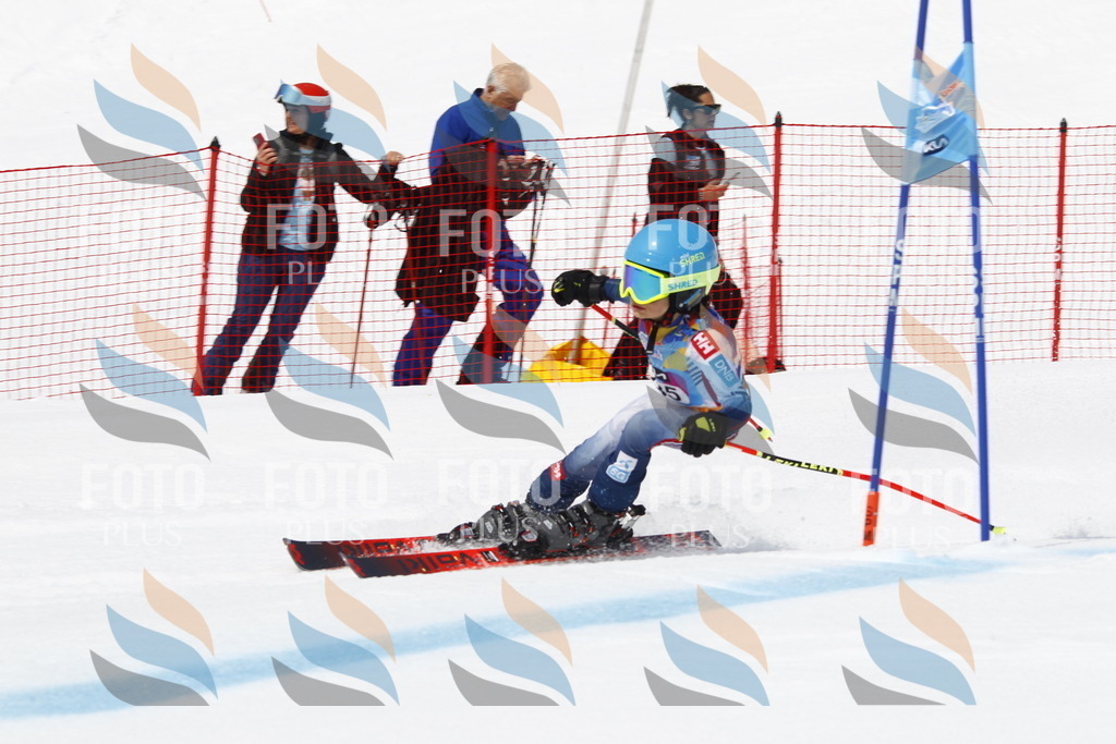 _U3G5998 | holidayphoto