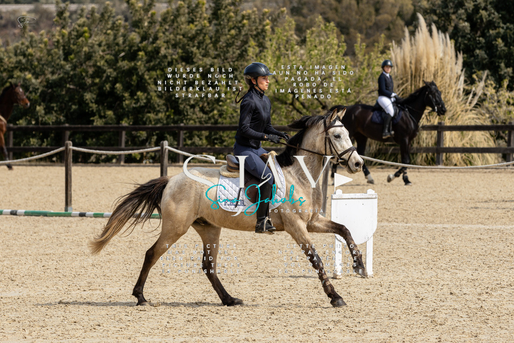 IMG_3326 | s-jay-photography - Realisiert mit Pictrs.com