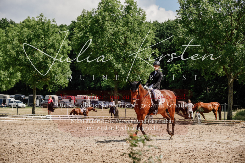 DSC_1001 | Pferde- und Turnierfotografie in Westsachsen. Pferdeportraits, Auftragszeichnungen und intuitive Kunst.