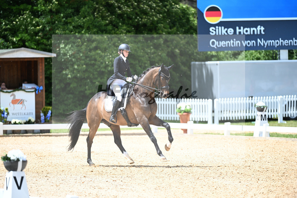 Hanft_Quentin von Nymphenburg_11252629 | hf-fotografie - Realizzato con Pictrs.com