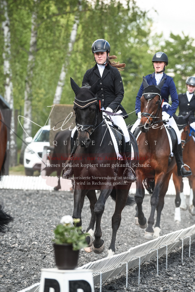 DSC_9092 | Pferde- und Turnierfotografie in Westsachsen. Pferdeportraits, Auftragszeichnungen und intuitive Kunst.