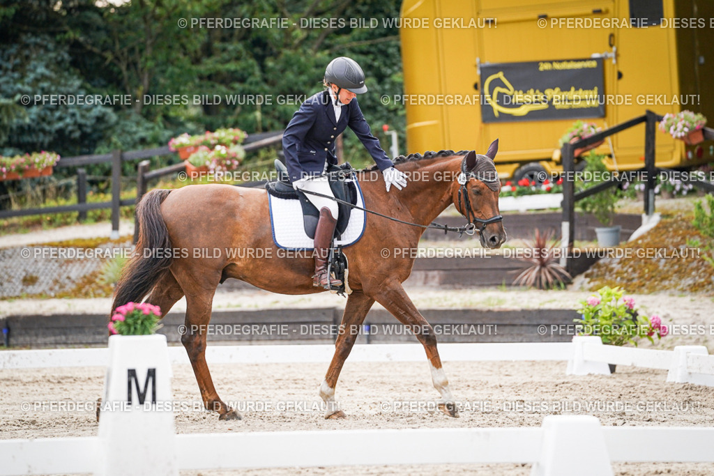 DSC00427 | Pferdegrafie