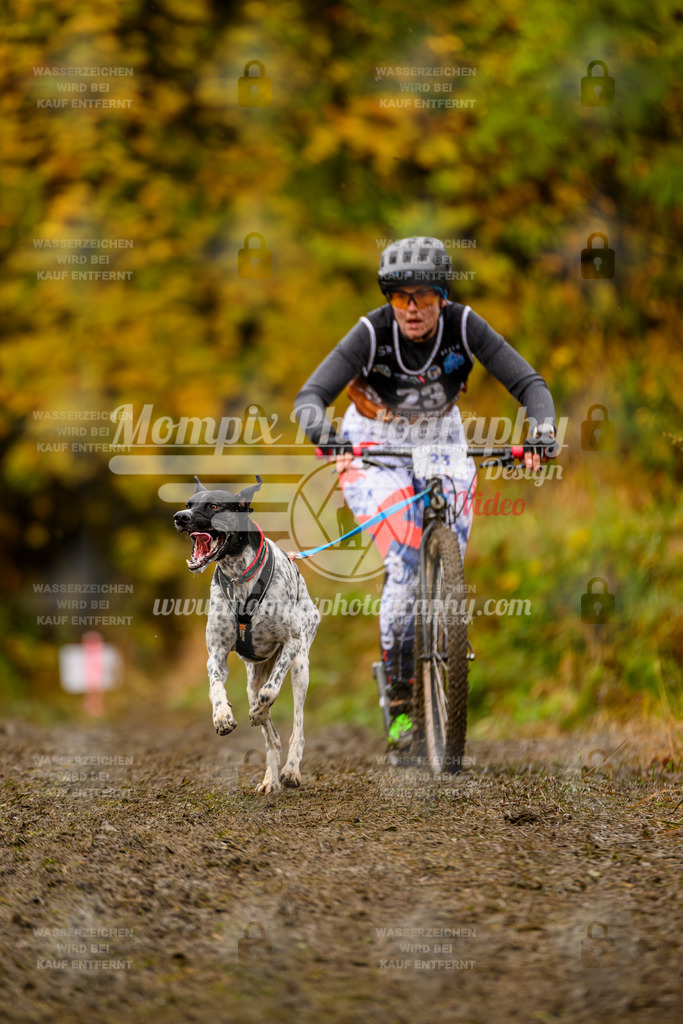 MompixPhotography_ICF_WC_2024_SA_DS_-36 | PayLife