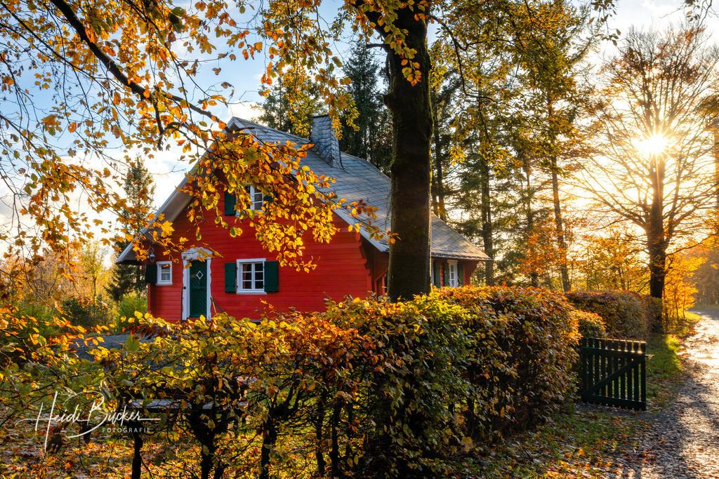 Haus am Rothaarsteig | Haus am Rothaarsteig in Winterberg-Hoheleye - Realisiert mit Pictrs.com