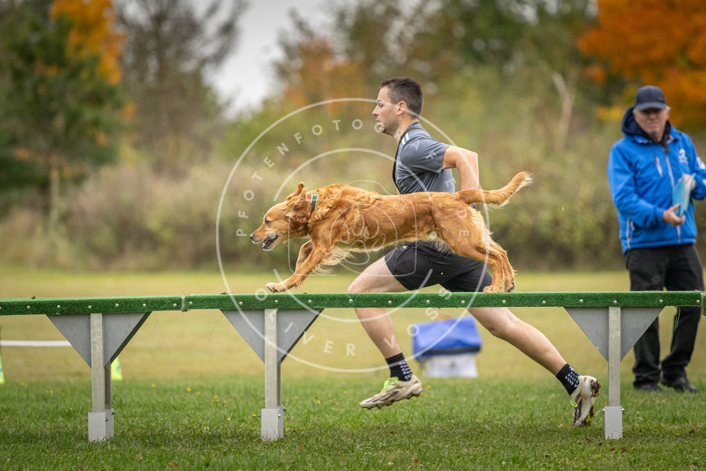 Pfotenfotografie_DV3A9935 | Hundefotografie, Tierfotograf, Pfotenfotografie, Fotoshooting Hund, Hunde Portrait, Hundesport, Hundeportraits, Heideshooting, Hunde, Sportfotograf, Hundefotograf, Turnierhundsport, THS,  - Realisiert mit Pictrs.com